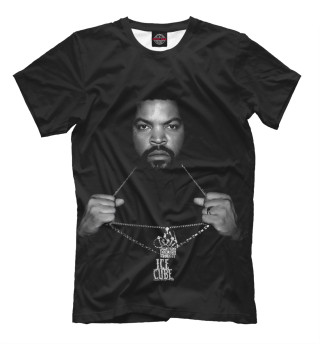 Футболка для мальчиков Ice Cube