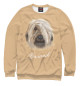 Женский свитшот Briard