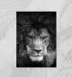 Плакат Lion