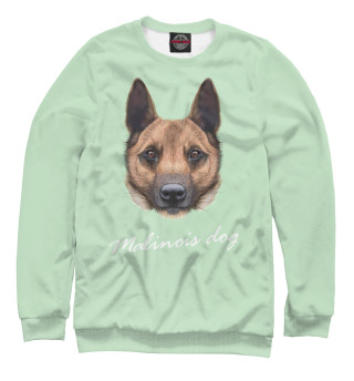 Женский свитшот Malinois dog