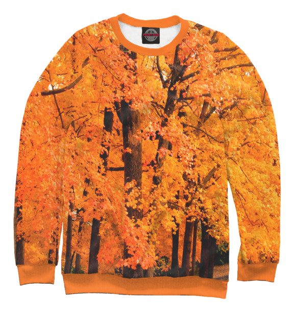Свитшот для мальчиков с изображением Осенний лес цвета Белый