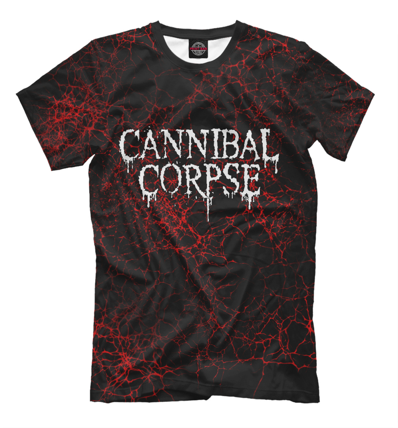 Мужская Футболка Cannibal Corpse, артикул: CCR-924378-fut-2