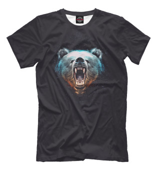 Мужская футболка Медведь Звезды