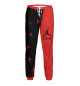 Мужские спортивные штаны Air Jordan (Аир Джордан)