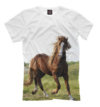 Мужская футболка Конь