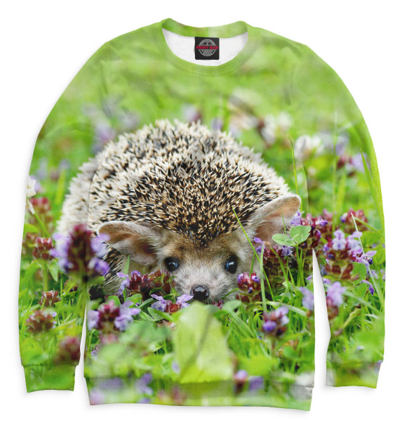 Мужской свитшот с изображением Ёжики цвета Белый
