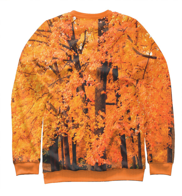 Свитшот для мальчиков с изображением Осенний лес цвета Белый