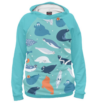 Морские котики