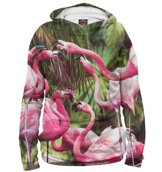 Розовые фламинго