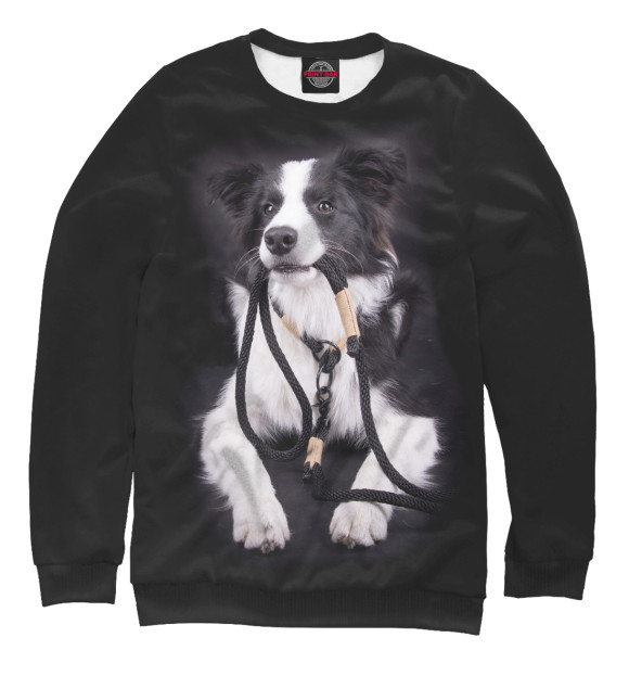 Свитшот для девочек с изображением Бордер - колли цвета Белый