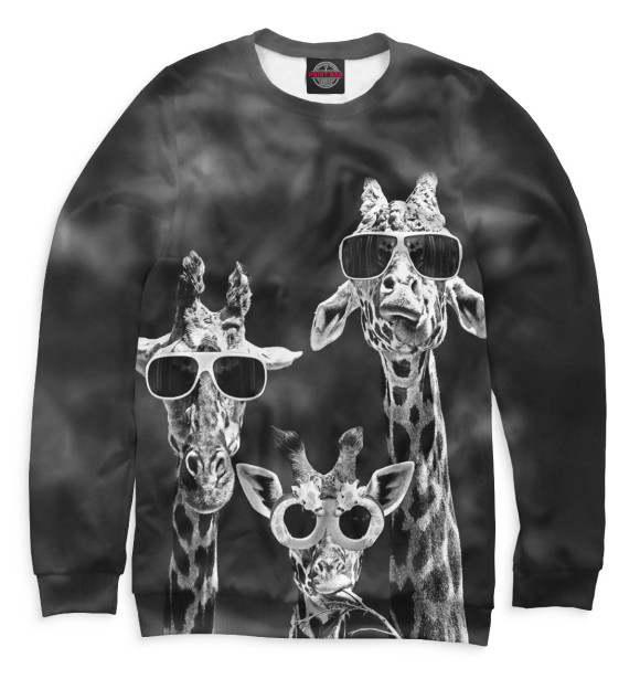 Свитшот для мальчиков с изображением Жирафы в очках цвета Белый