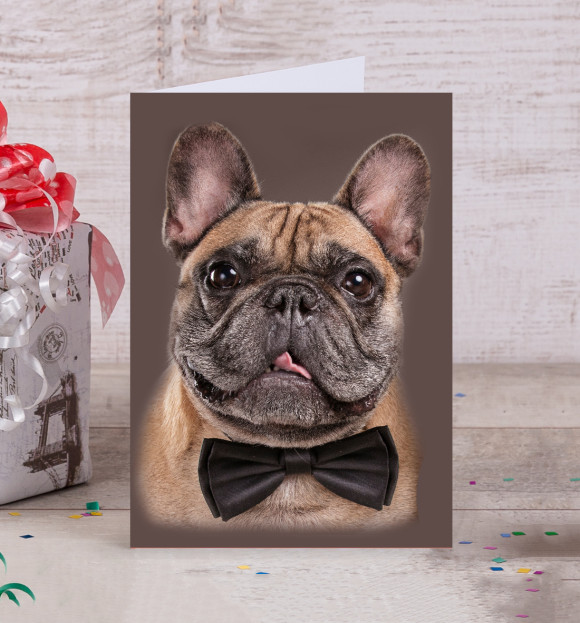 Открытка с изображением Бульдог цвета Белый