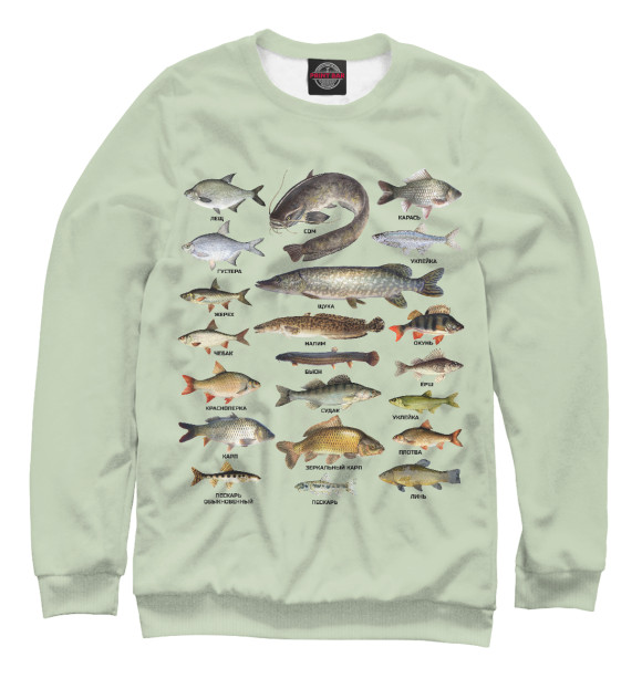 Мужской свитшот с изображением Популярные виды рыб цвета Белый