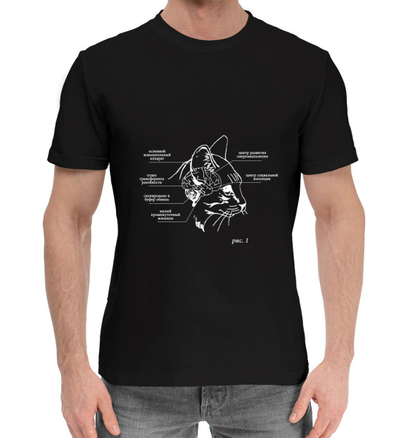 Мужская хлопковая футболка с изображением Строение мозга кота цвета Черный