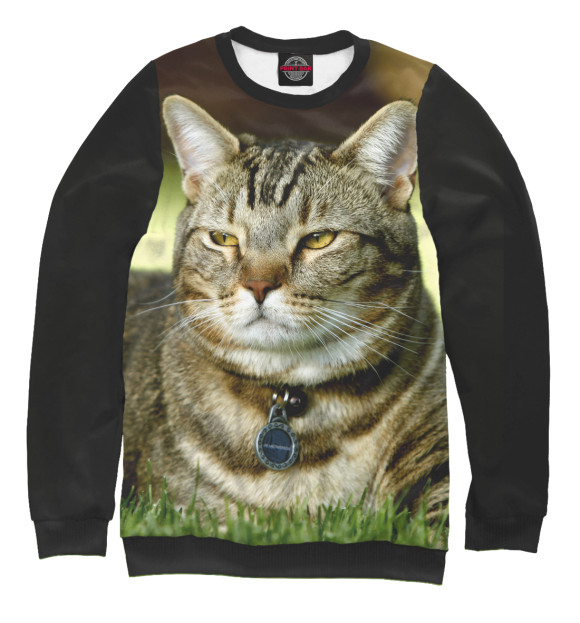 Женский свитшот с изображением BarsikClothes цвета Белый