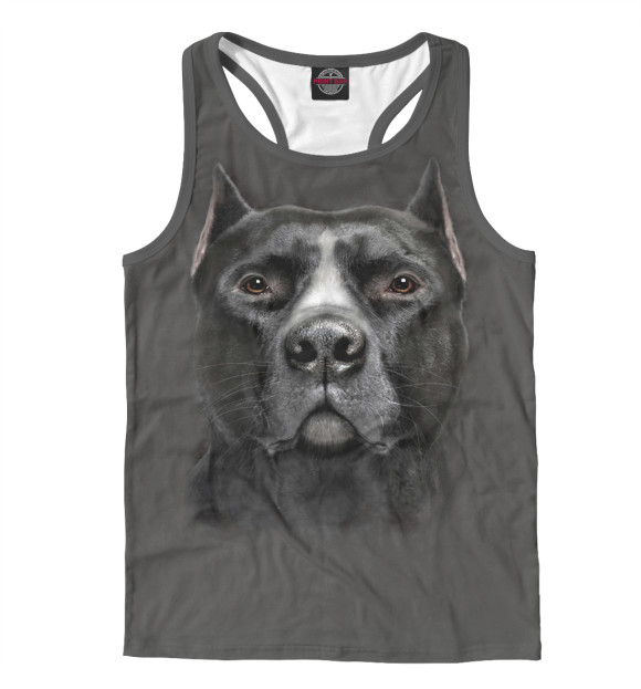 Мужская майка-борцовка с изображением Питбуль цвета Белый