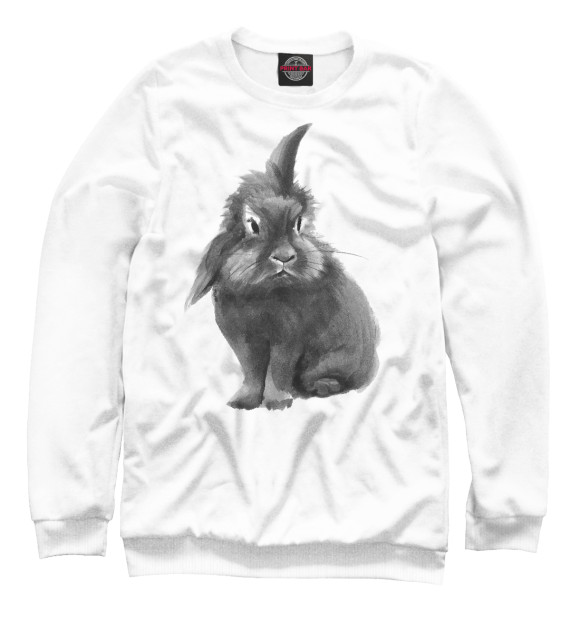 Свитшот для мальчиков с изображением Черно-белый кролик цвета Белый