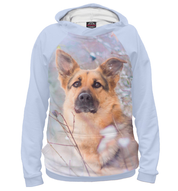 Женское худи с изображением Winter dog цвета Белый