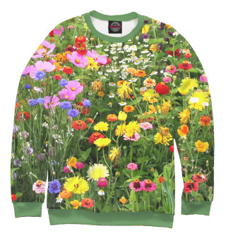 Полевые цветы