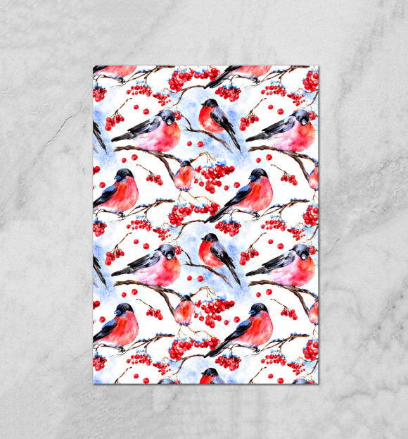 Плакат с изображением Снегири на Ветке цвета Белый