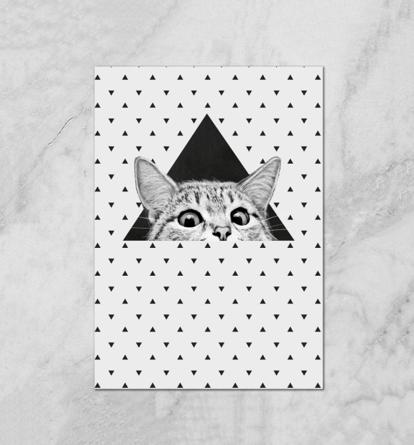 Плакат с притом Взгляд кота цвета Белый Плакат с изображением Взгляд кота цвета Белый