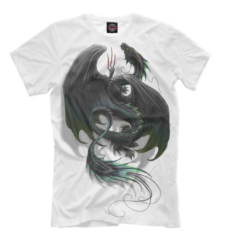 Футболка для мальчиков Dragon