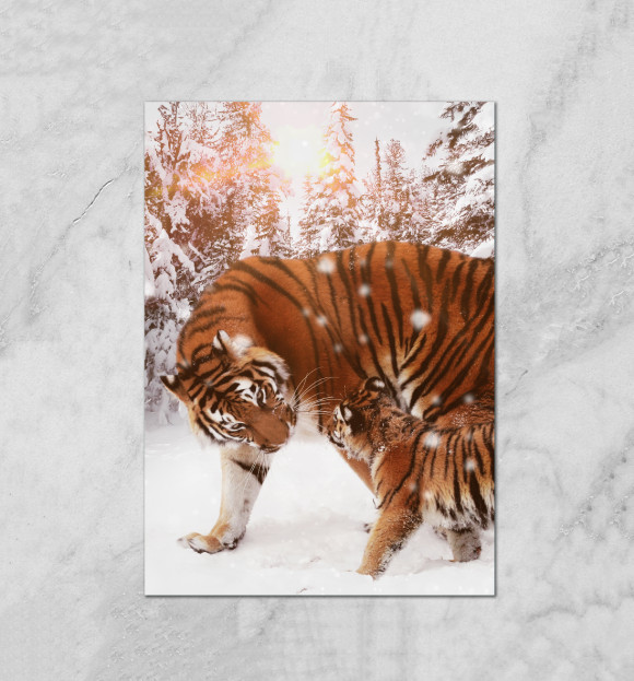 Плакат с притом Tiger цвета Белый Плакат с изображением Tiger цвета Белый