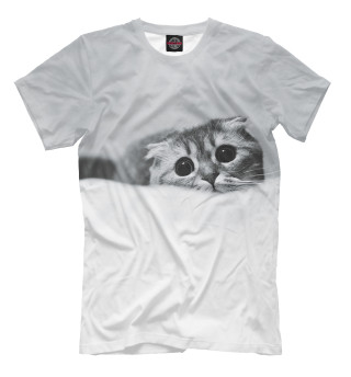 Мужская футболка Коты