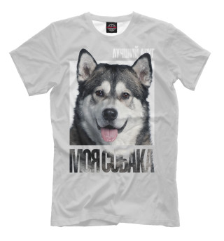 Аляскинский маламут