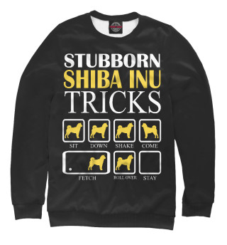 shiba inu