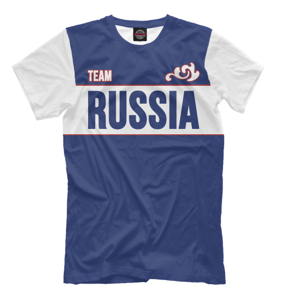 Футболка для мальчиков с изображением Team Russia цвета Серый