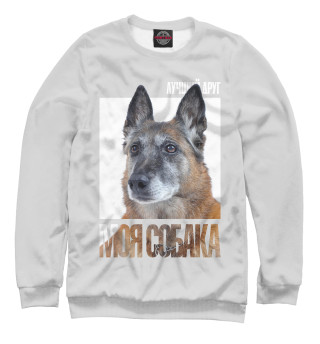 Бельгийская овчарка