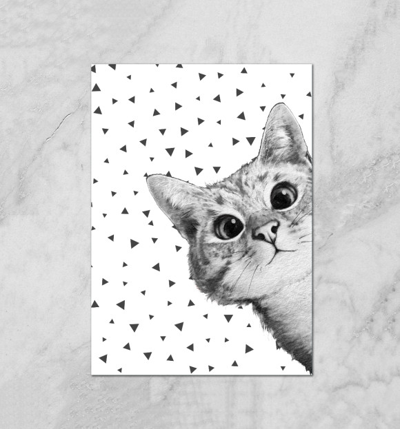 Подглядывающий кот Плакат купить за 690 ₽ в интернет-магазине Print Bar  CAT-729583-plk
