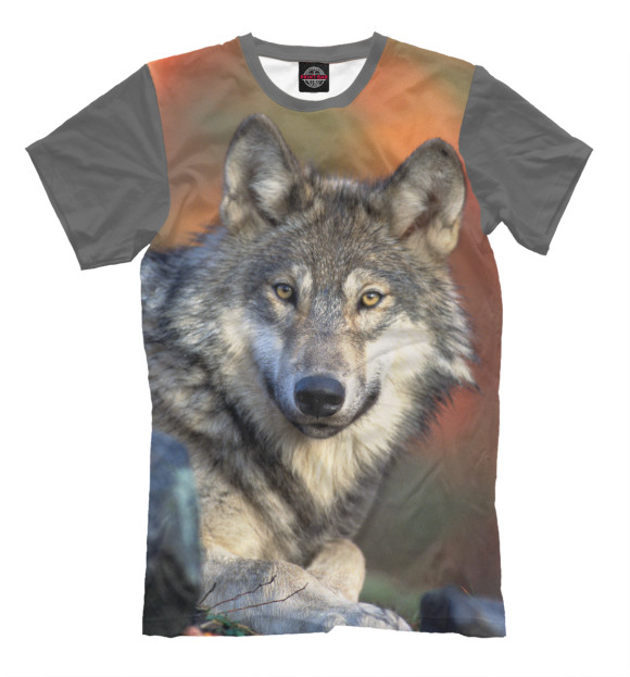 Мужская футболка с изображением Добрый Волк цвета Серый