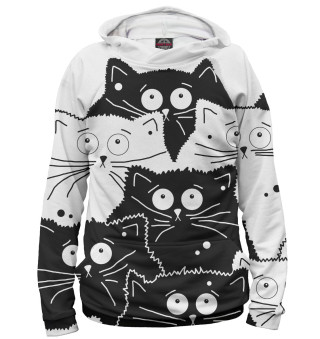 Котики