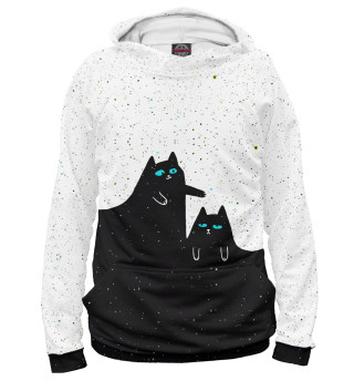 Котики