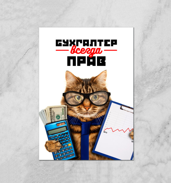 Плакат с притом Бухгалтер всегда прав цвета Белый Плакат с изображением Бухгалтер всегда прав цвета Белый