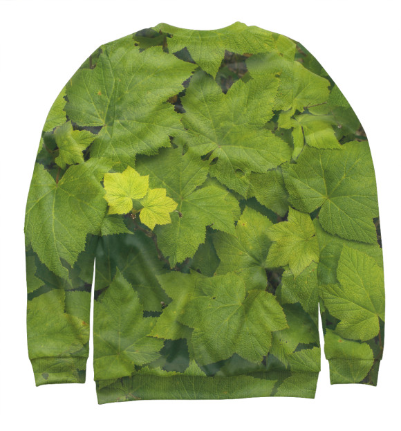 Мужской свитшот с изображением Зелёные листья цвета Белый