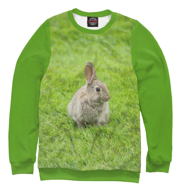 Мужской свитшот с изображением Кролик на поляне цвета Белый