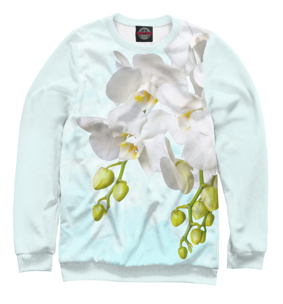 Свитшот для девочек с изображением Белоснежная орхидея цвета Белый