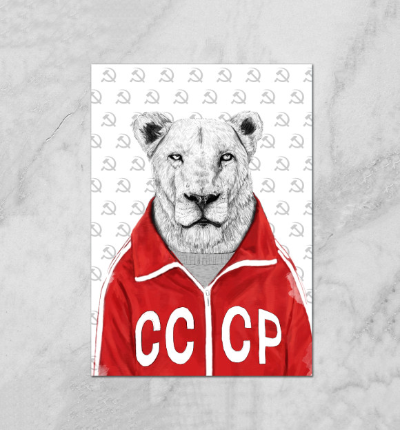 Плакат с изображением Львица из СССР цвета Белый