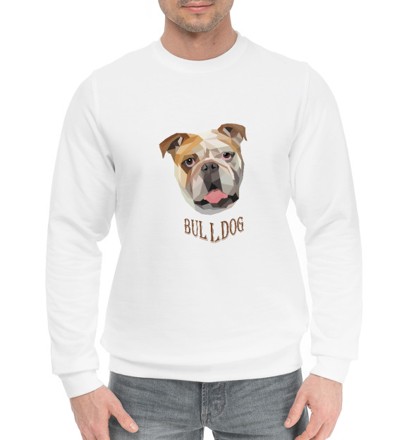 Мужской хлопковый свитшот с изображением Британский бульдог цвета Белый