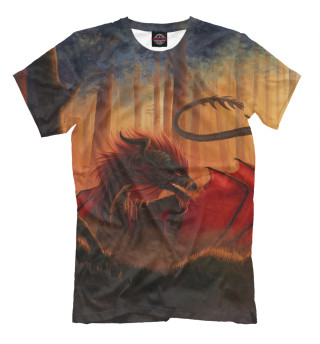 Мужская футболка Дракон