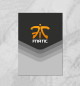 Плакат Fnatic Team