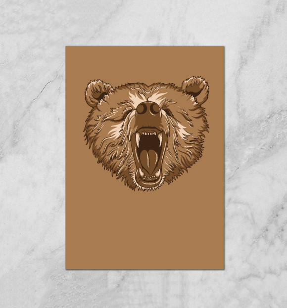 Плакат с изображением Медведь цвета Белый