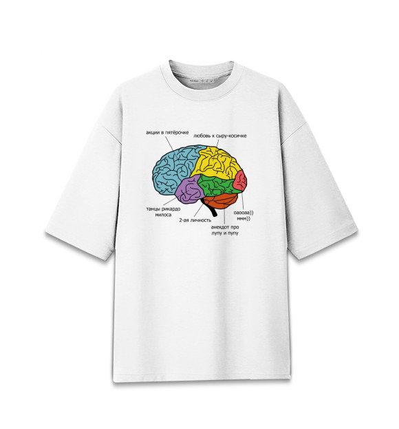 Мужская футболка оверсайз с изображением Строение мозга цвета Белый