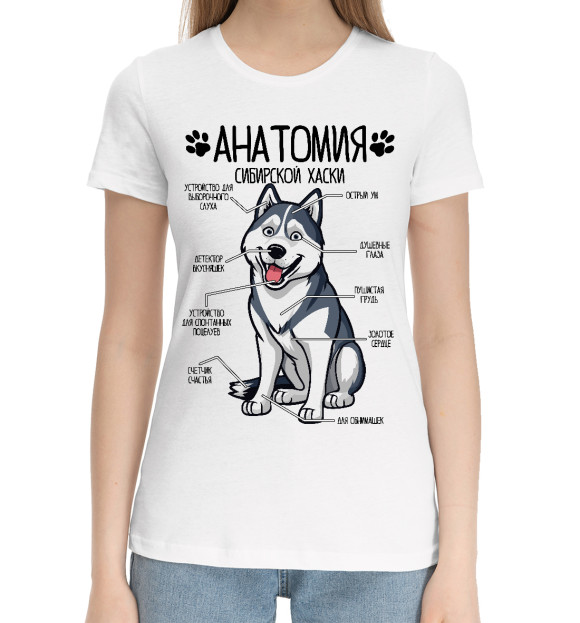 Женская хлопковая футболка с изображением Сибирский Хаски анатомия строение собаки цвета Белый