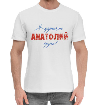 Мужская хлопковая футболка Анатолий