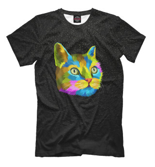 Футболка для мальчиков Rainbow Cut Cat