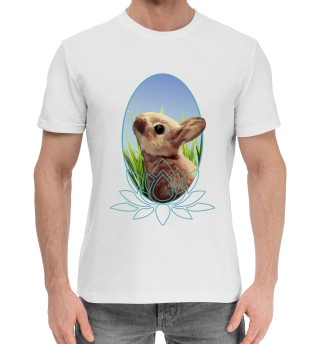 Хлопковая футболка для мальчиков Rabbit Day Kumi